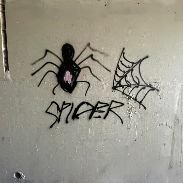 Spider