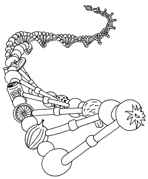 DNA and food